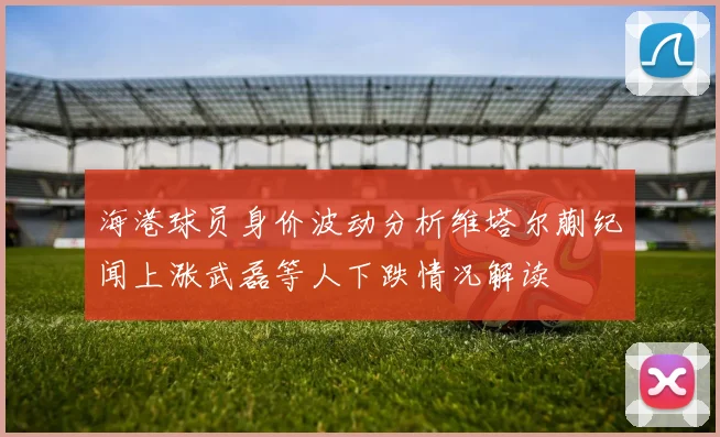 海港球员身价波动分析维塔尔蒯纪闻上涨武磊等人下跌情况解读
