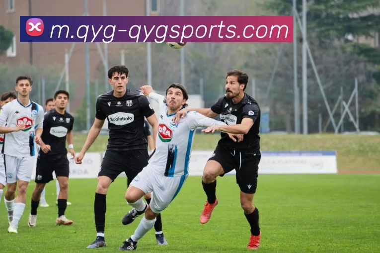 奇异果体育品牌故事